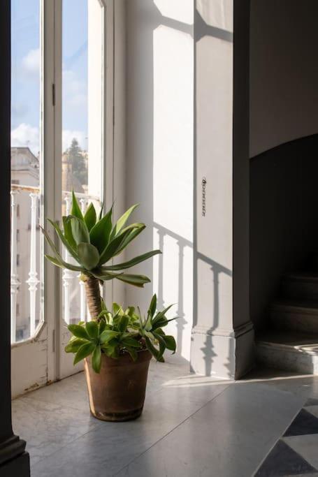 Apartment Charming House At